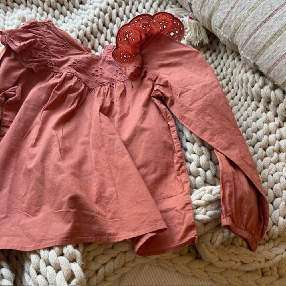 Zara terra cotta top